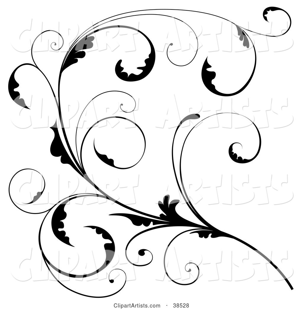 Delicate Black Floral Scroll Branch with Tendrils and Curly Leaves