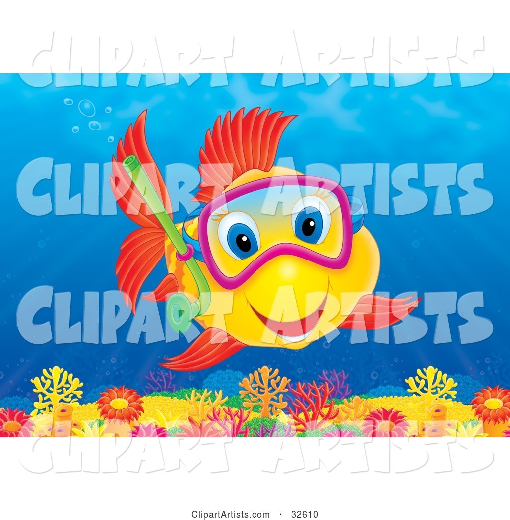 Excited Yellow Fish with Red Fins and Blue Eyes, Snorkeling and Exploring a Colorful Coral Reef