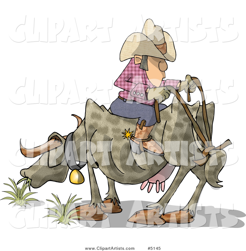 Funny Cowboy Sitting Backwards on Cow