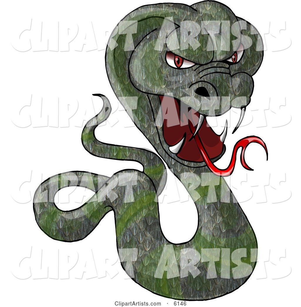 Green Cobra Snake Baring Its Fangs and Forked Tongue