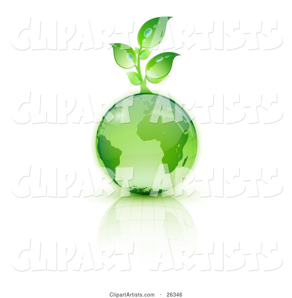 Green Seedling Plant Sprouting from a Green Earth over a Reflective White Surface
