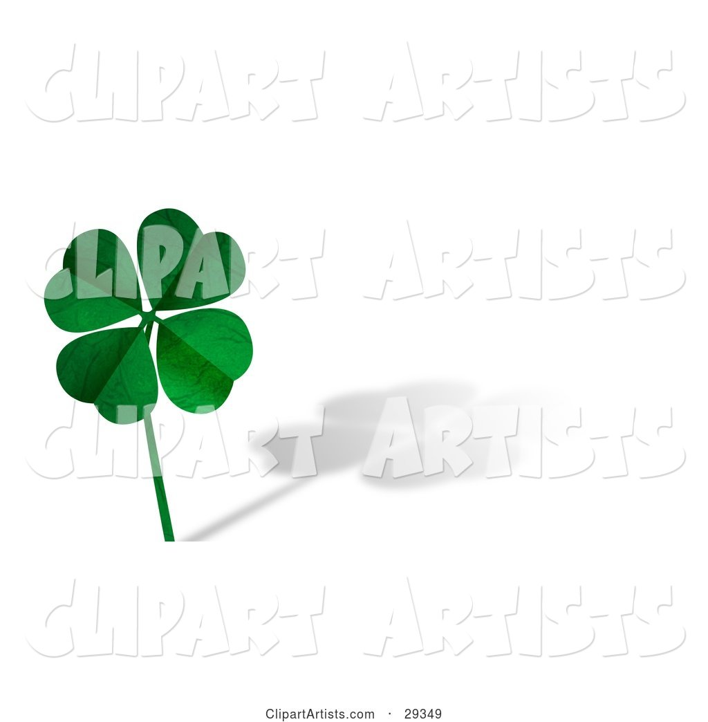 Green Textured Four Leaf Clover on a Long Stem, over a White Background with a Shadow