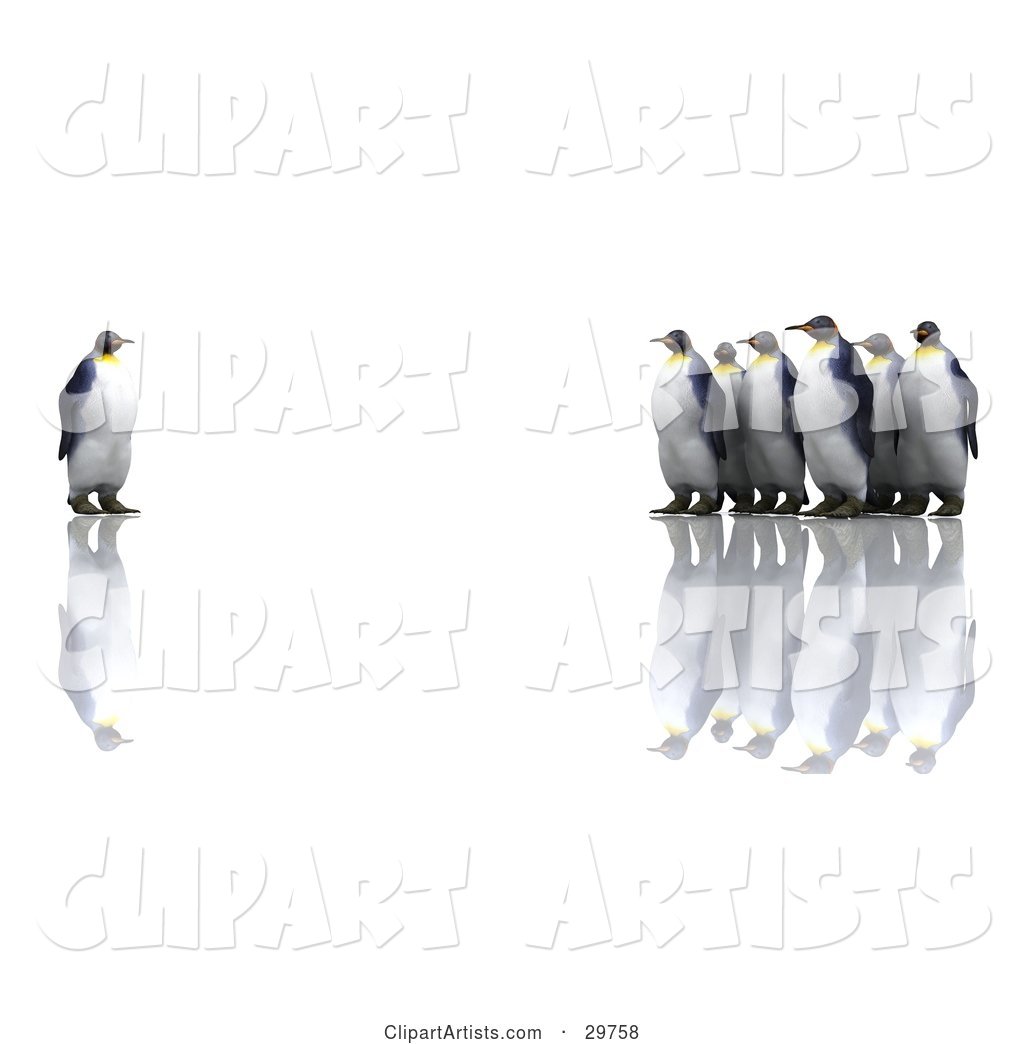 Group of Penguins Staring at an Individual One, Symbolizing Standing out from the Crowd