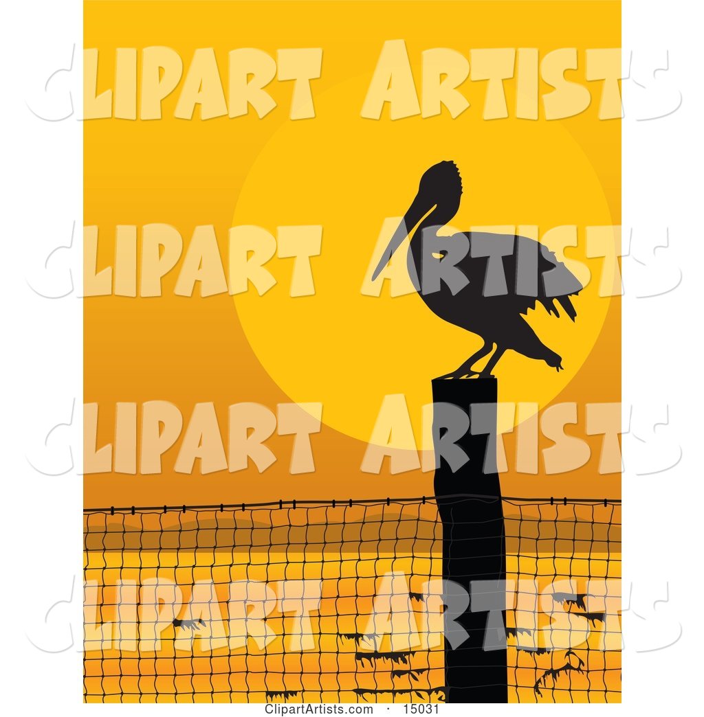 Lone Pelican Bird on a Coastal Fence Post, Silhouetted Against an Orange Sunset