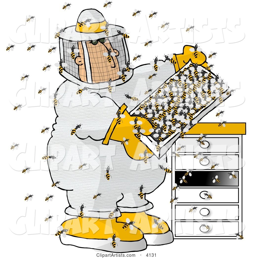 Male Beekeeper Checking a Honeybee Apiary (Bee Hives)