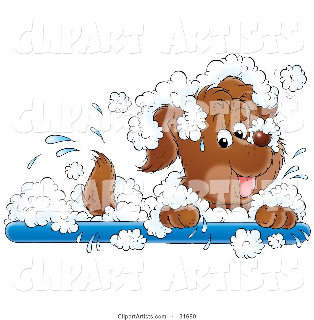 Playful Puppy Dog Splashing Around in a Bubble Bath