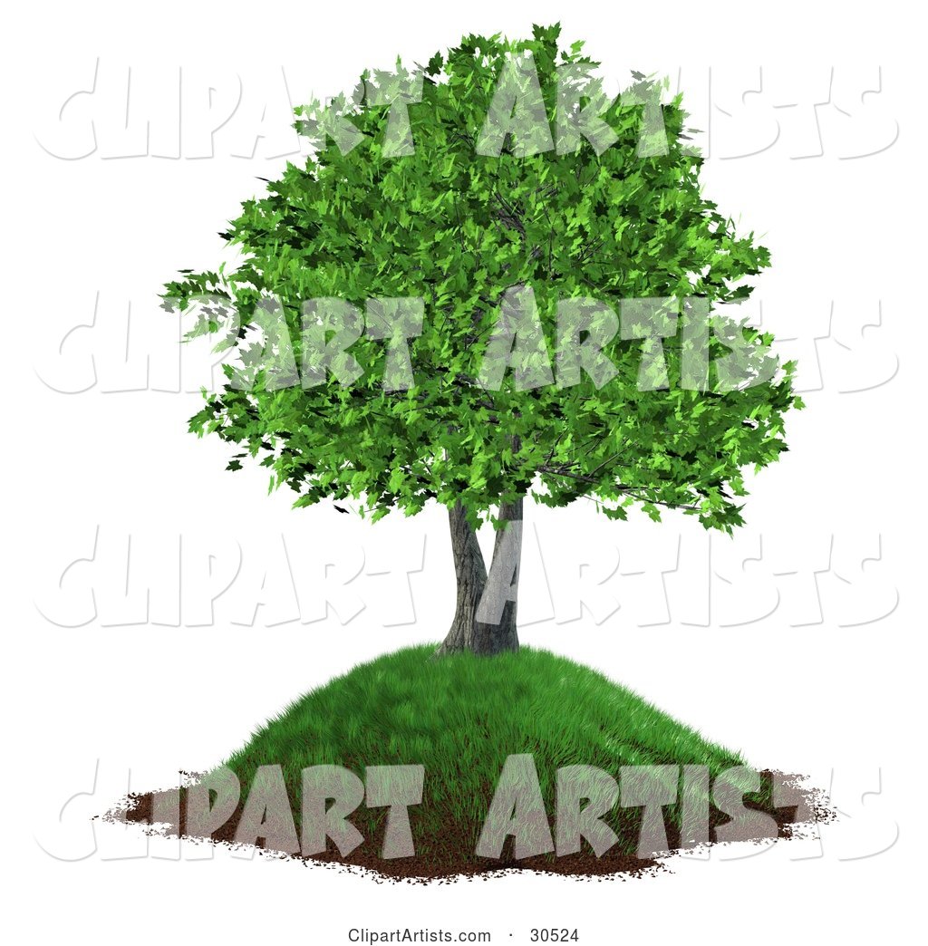 Realistic Tree with Lush Green Leaves, Growing on a Grassy Hill with Dirt Along the Bottom
