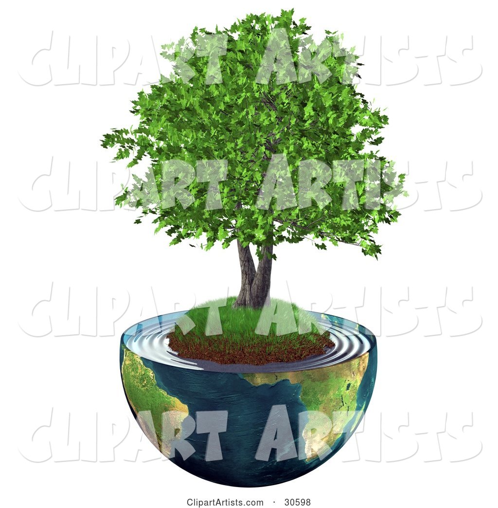 Realistic Tree with Lush Green Leaves, Growing on a Grassy Hill with Dirt in the Center of Planet Earth Cut in Half