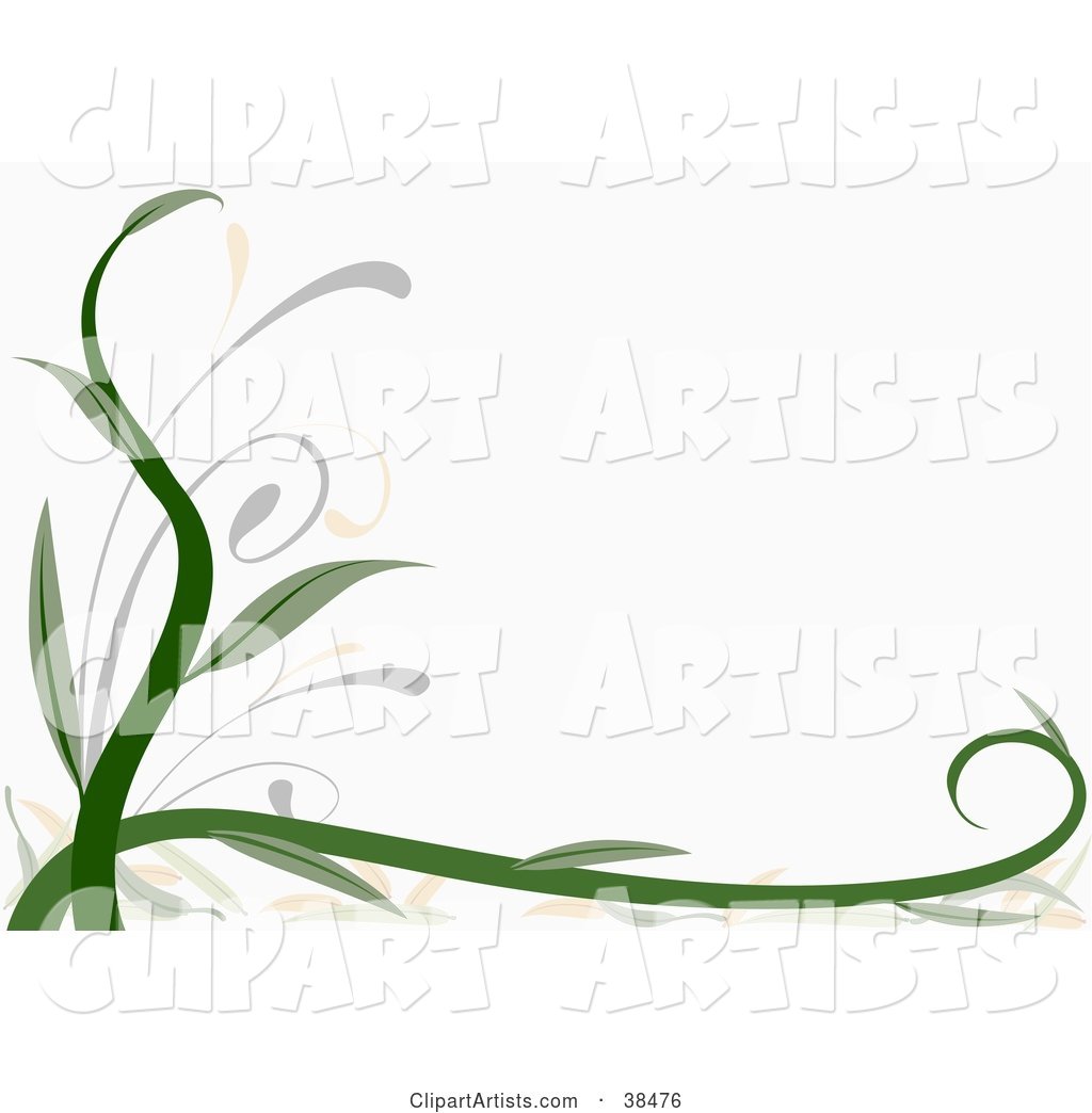 Thick Green Vine Growing Along the Left and Bottom Edges of a White Background