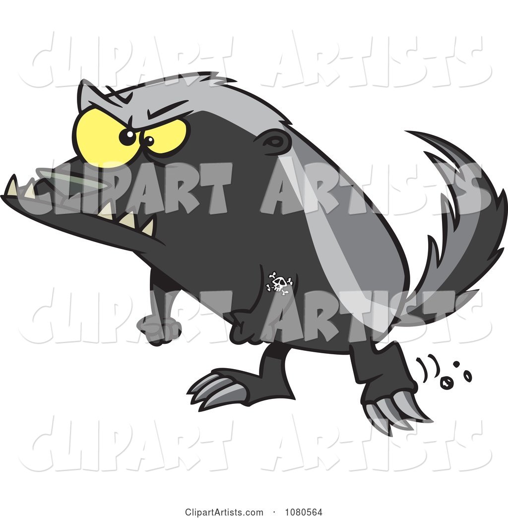 Angry Honey Badger