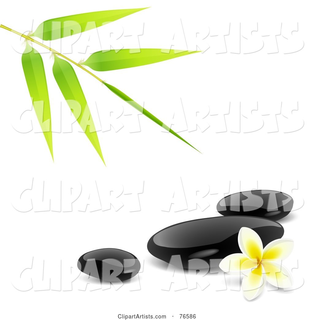 Bamboo Stem over Black Spa Stones and a Plumeria Flower