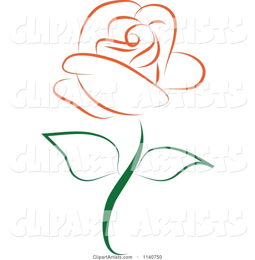 Beautiful Single Orange Rose 1
