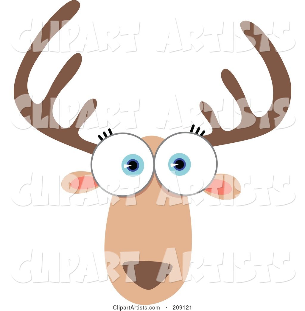Big Eyed Deer Face