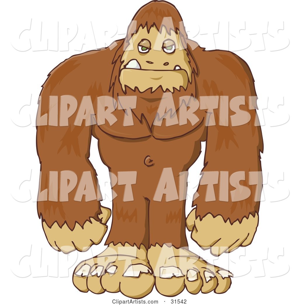 Big Hairy Sasquatch or Big Foot, Standing and Facing Front