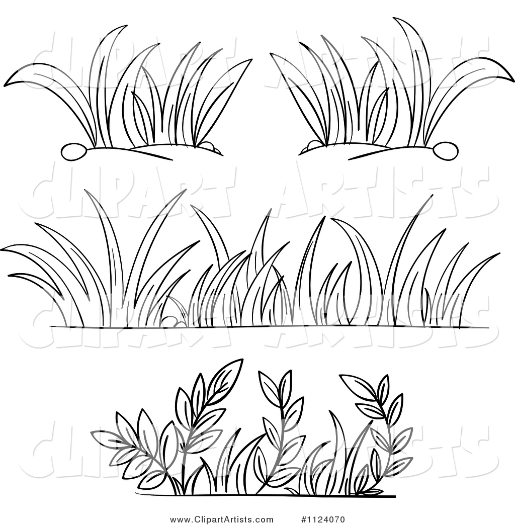 Black and White Borders of Grasses and Plants