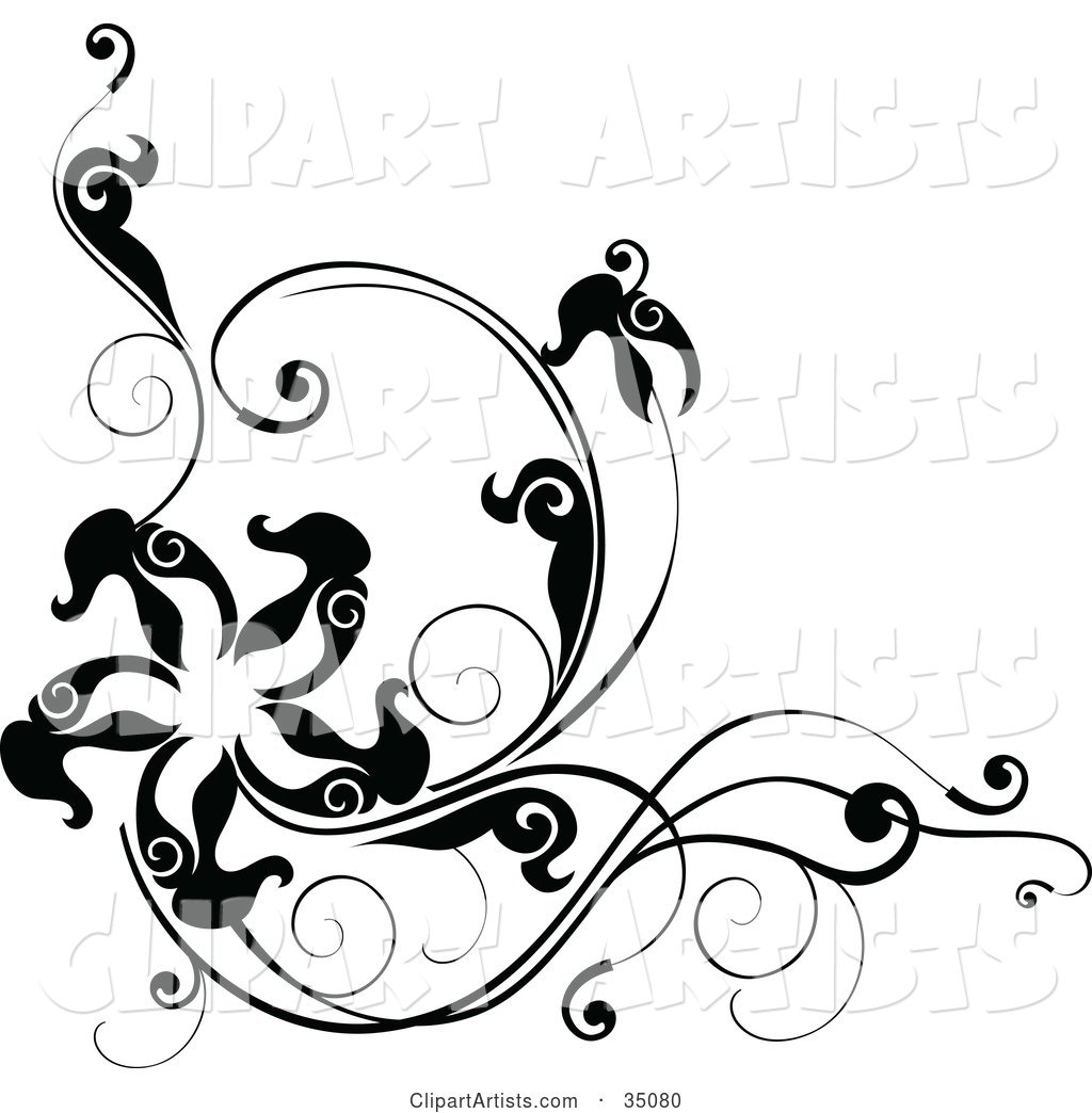 Black and White Corner Design with Leafy Vines and a Star or Starfish