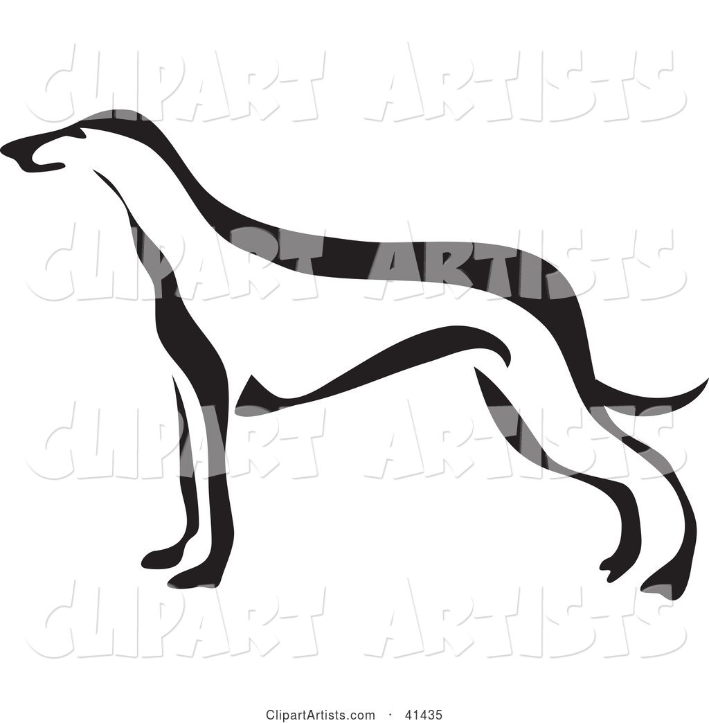 Black and White Paintbrush Styled Image of a Greyhound