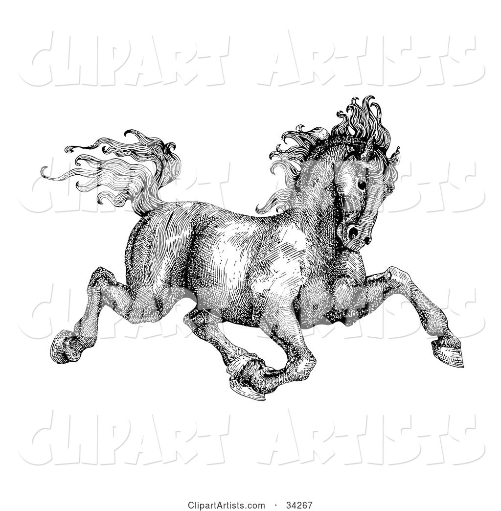 Black and White Pen and Ink Drawing of a Muscular Victorian Horse Trotting to the Right