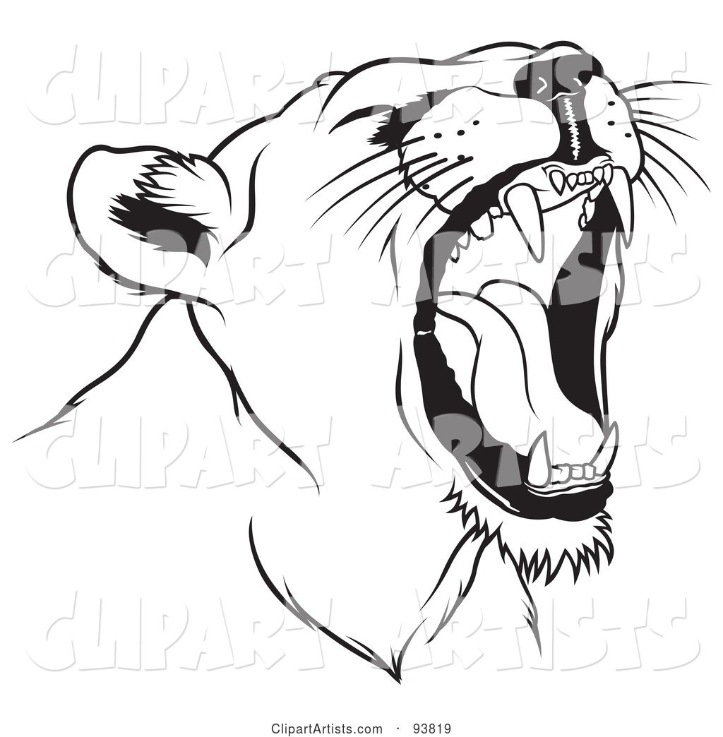 Black and White Roaring Female Lion Head - 1
