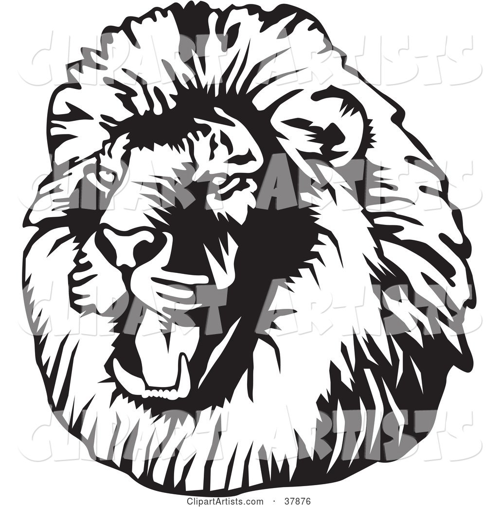 Black and White Roaring Male Lion Head