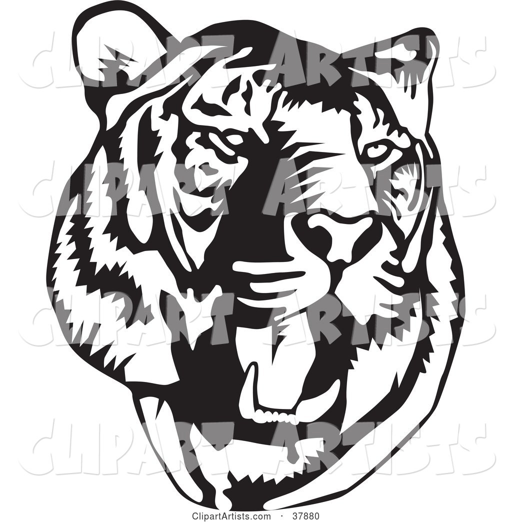 Black And White Roaring Tiger Head Clipart by David Rey (fam13dei)