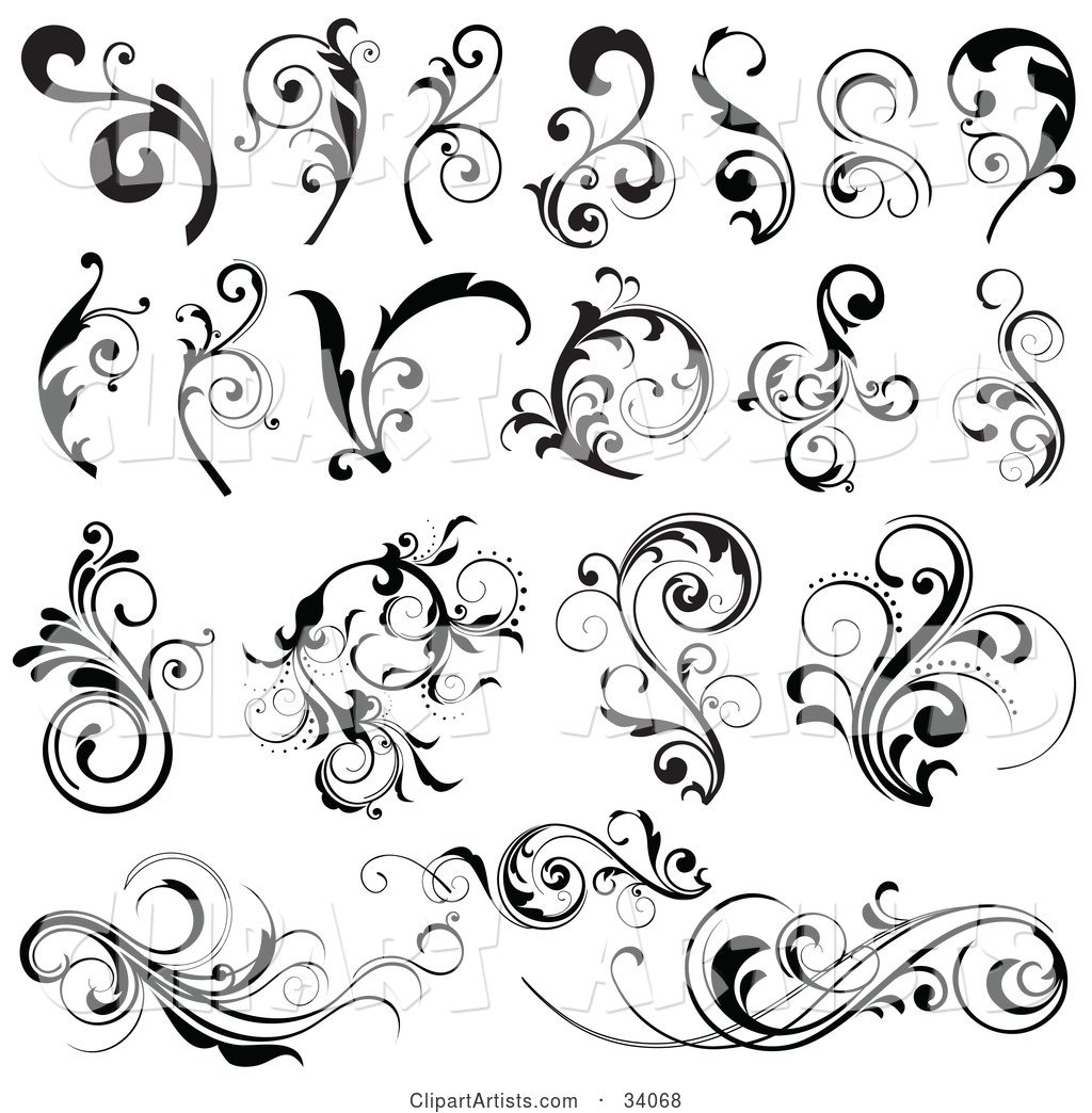 Black and White Set of Bold, Black and Elegant Scrolls and Vines