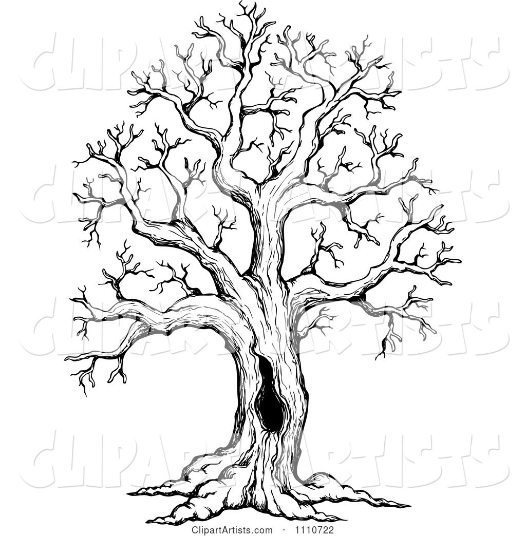 Black and White Sketched Hollow Bare Tree
