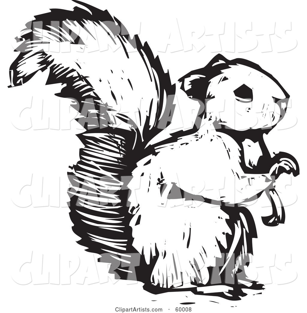 Black and White Squirrel Holding One Paw up