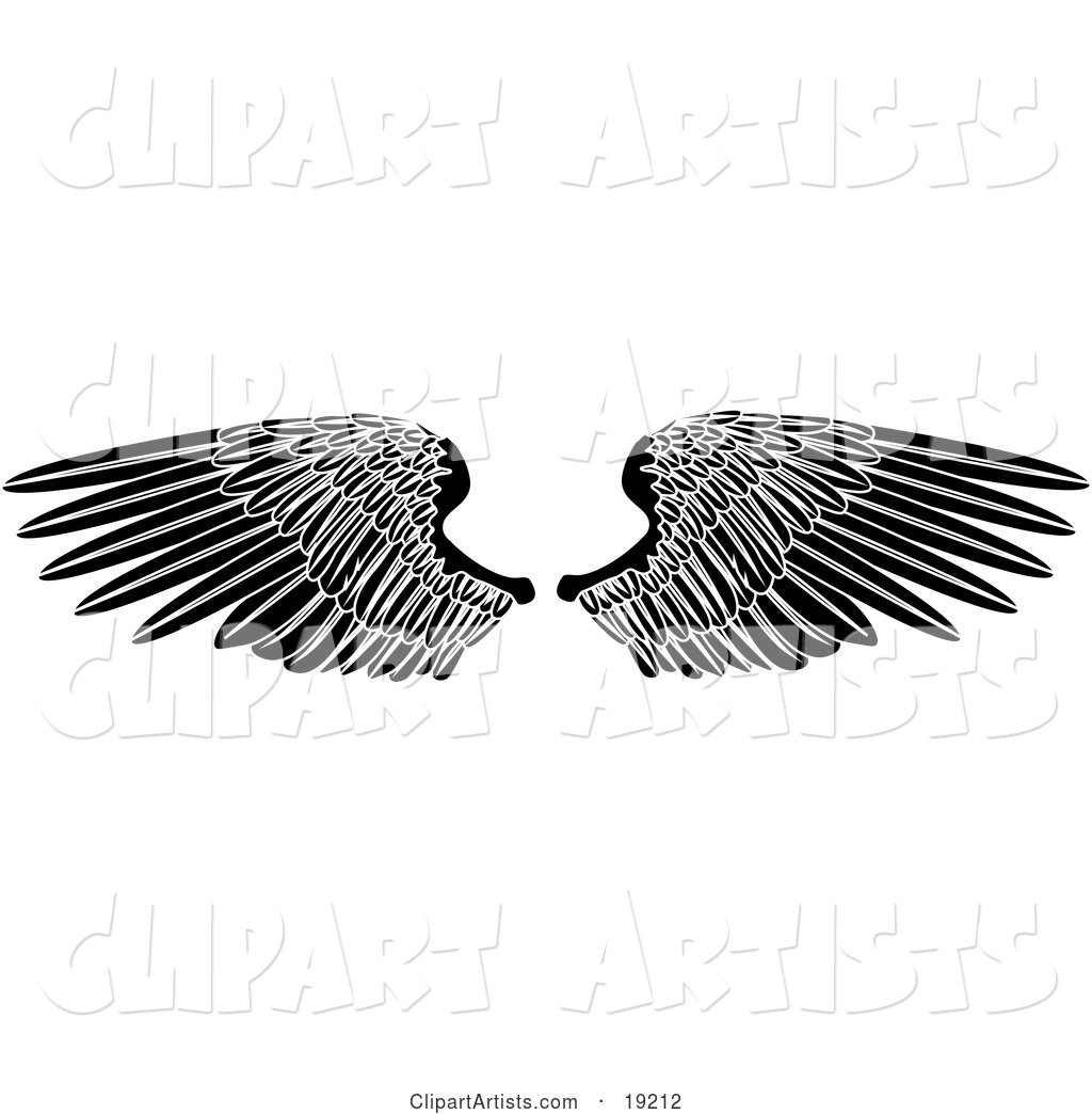 Black Angel Wings Spread Open
