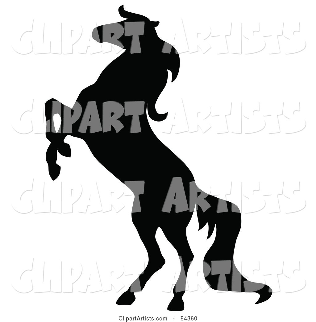 Black Rearing Horse Silhouette
