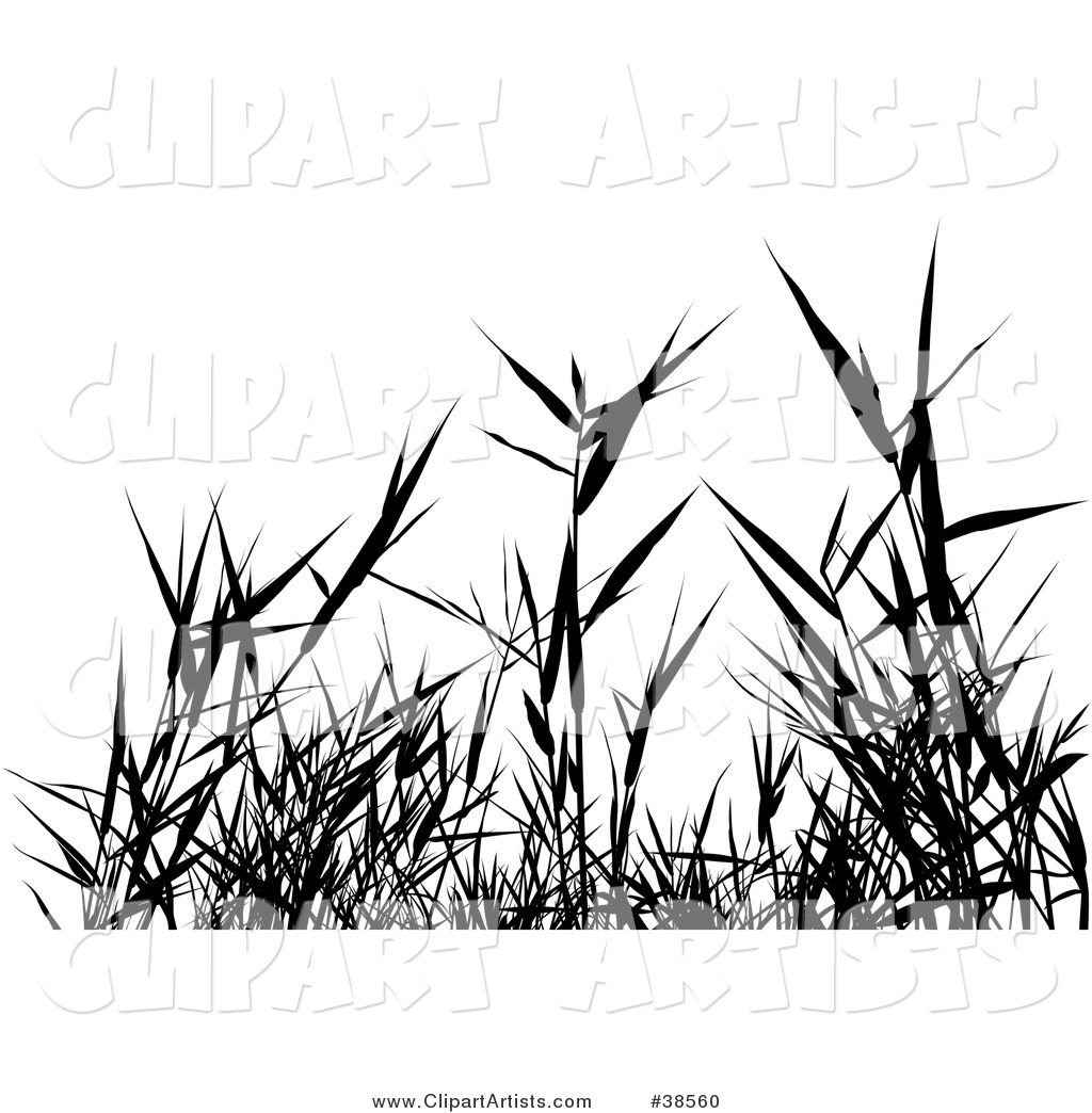Black Silhouetted Grass Weeds