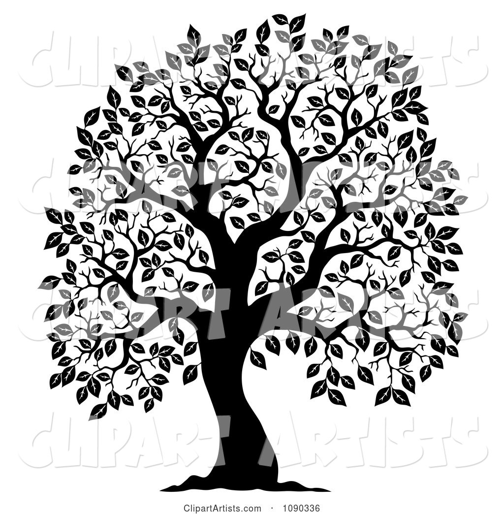 Black Silhouetted Tree with Leafy Foliage