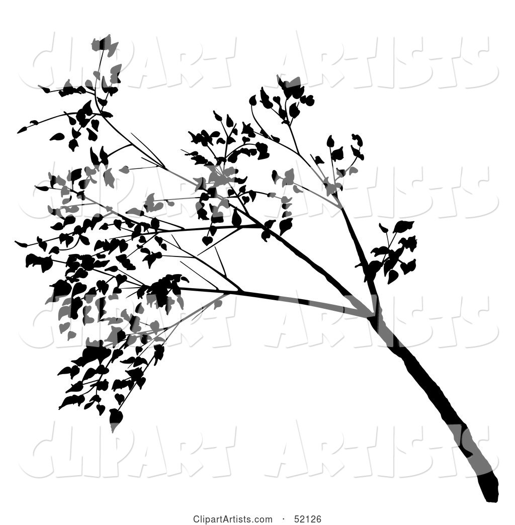 Black Tree Branch Silhouette