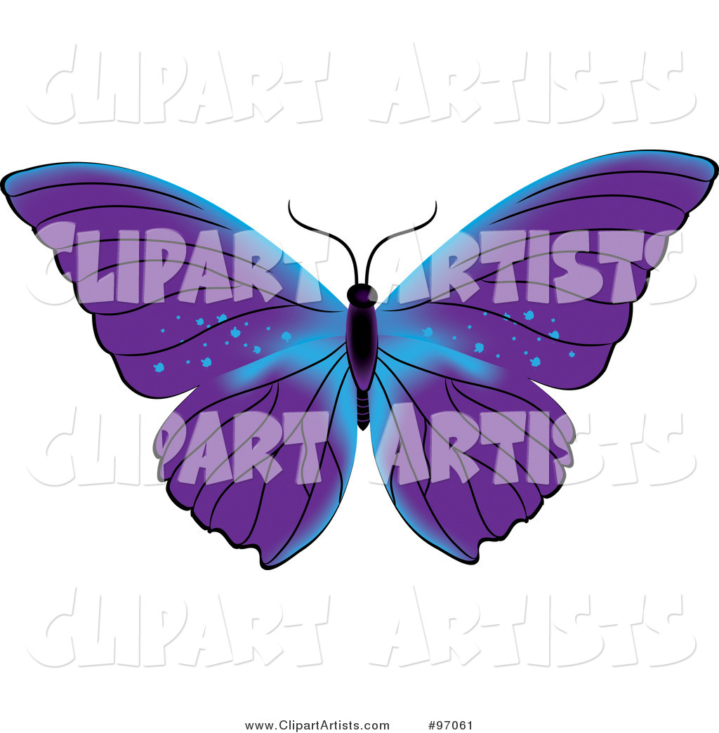 Blue and Purple Butterfly with Open Wings