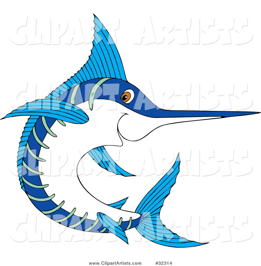 Blue and White Swordfish Swimming