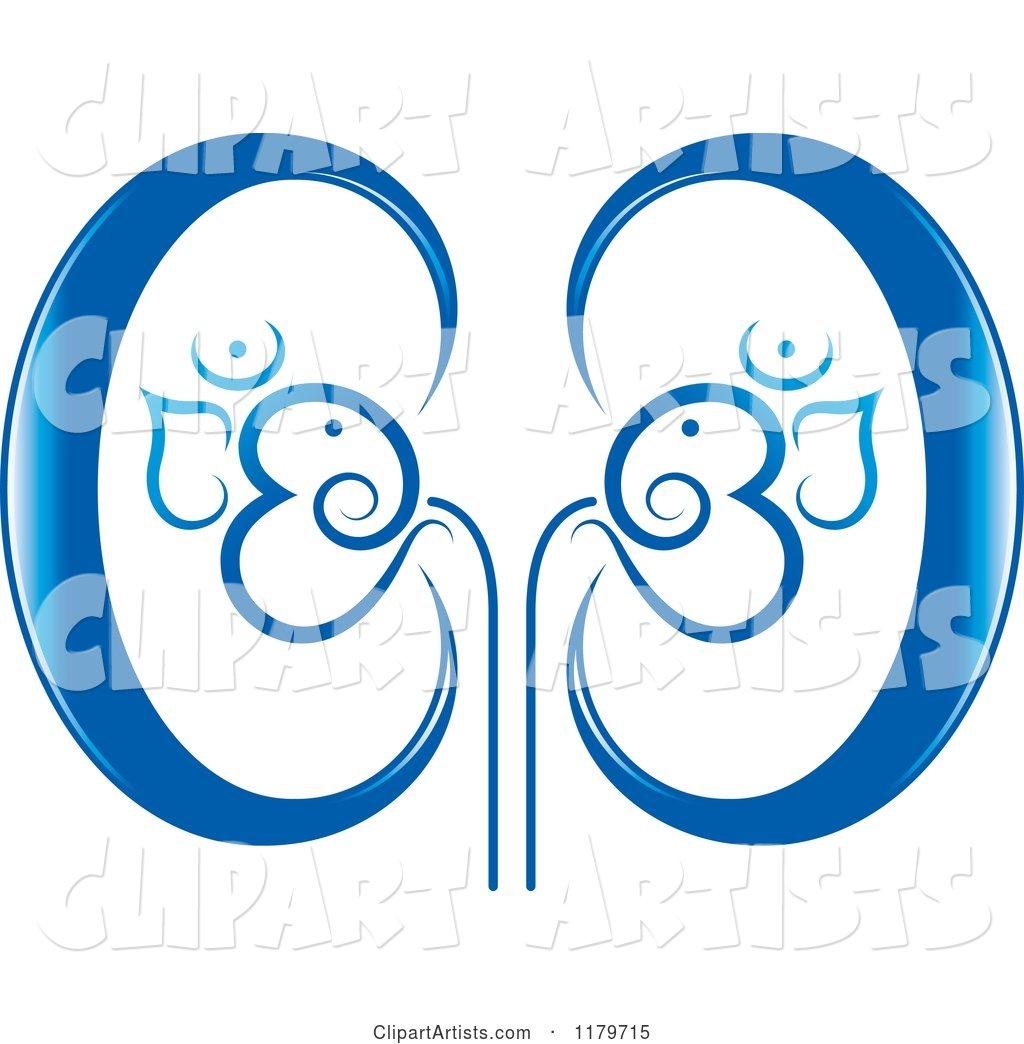 Blue Kidneys with the Aum Hinduism Symbol