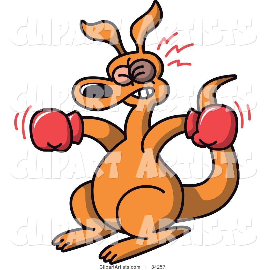 Boxer Kangaroo with a Black Eye
