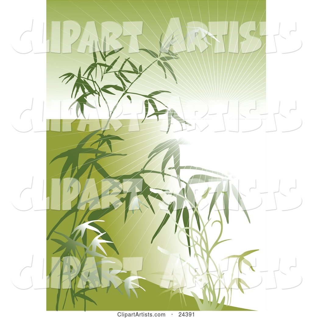 Bright Burst of Light Beaming Through Bamboo Stalks and Leaves over Green