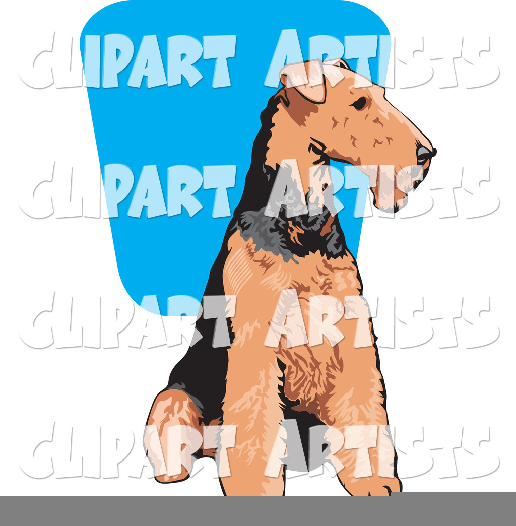 Brown and Black Airedale Terrier Dog Seated and Looking to the Right