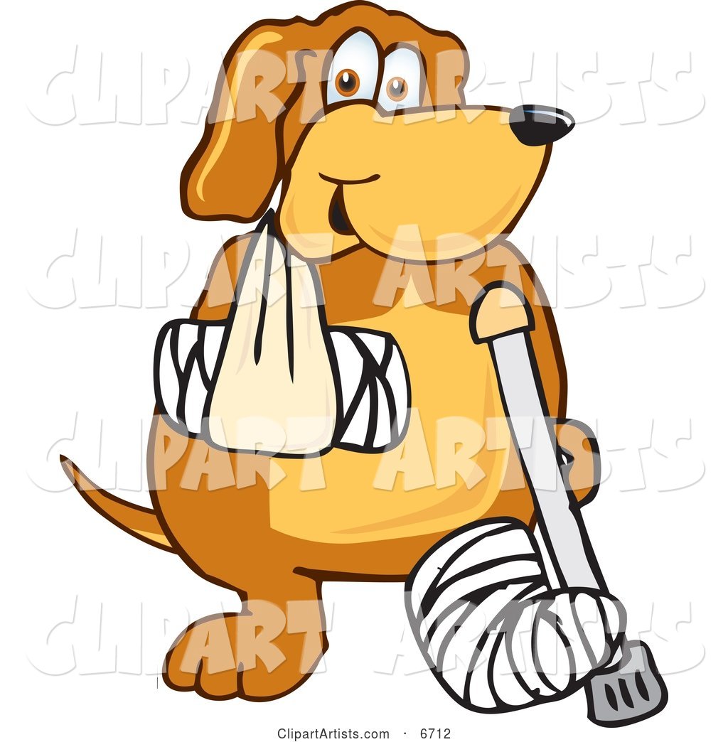 Brown Dog Mascot Cartoon Character with an Arm and Leg Bandaged up