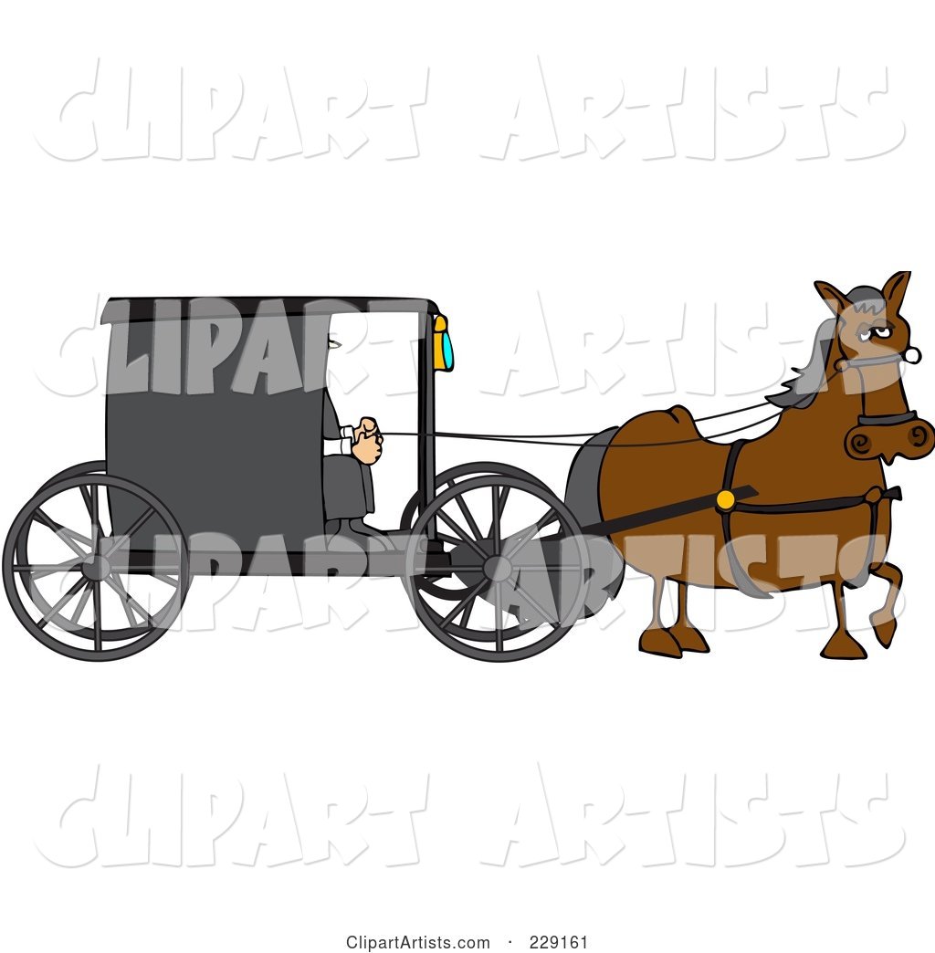 Brown Horse Pulling an Amish Buggy
