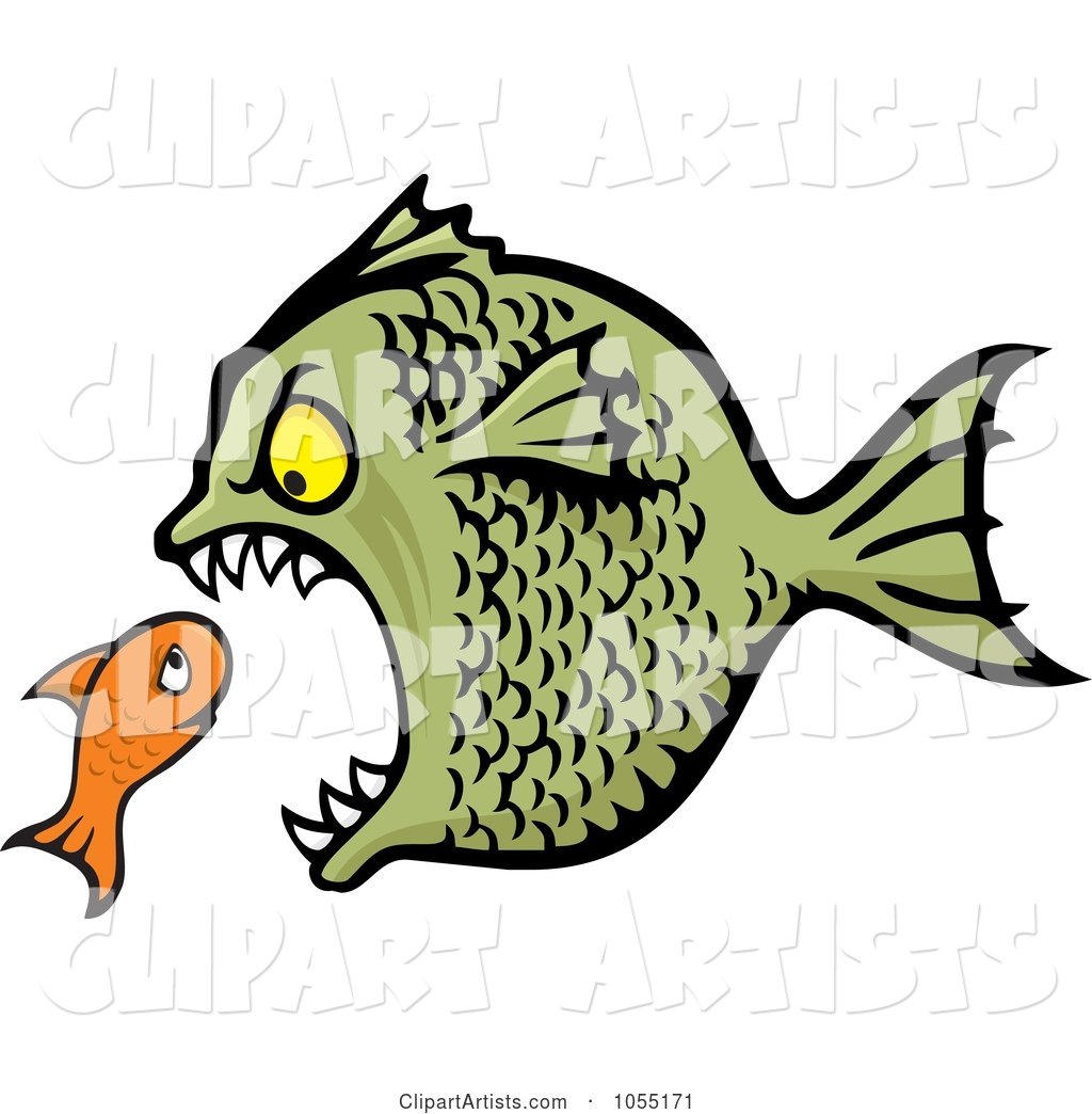 Bully Fish Eating a Small Fish