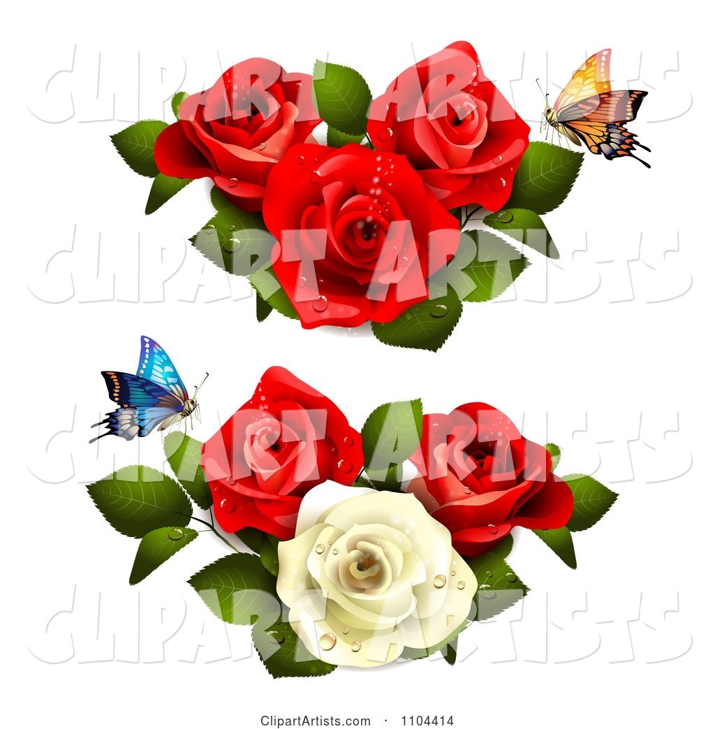 Butterflies with Red and White Roses