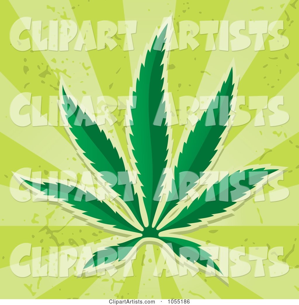 Cannabis Leaf on Green Rays