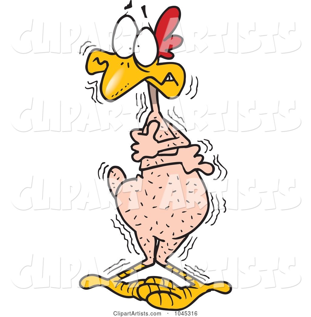 Cartoon Cold Featherless Chicken