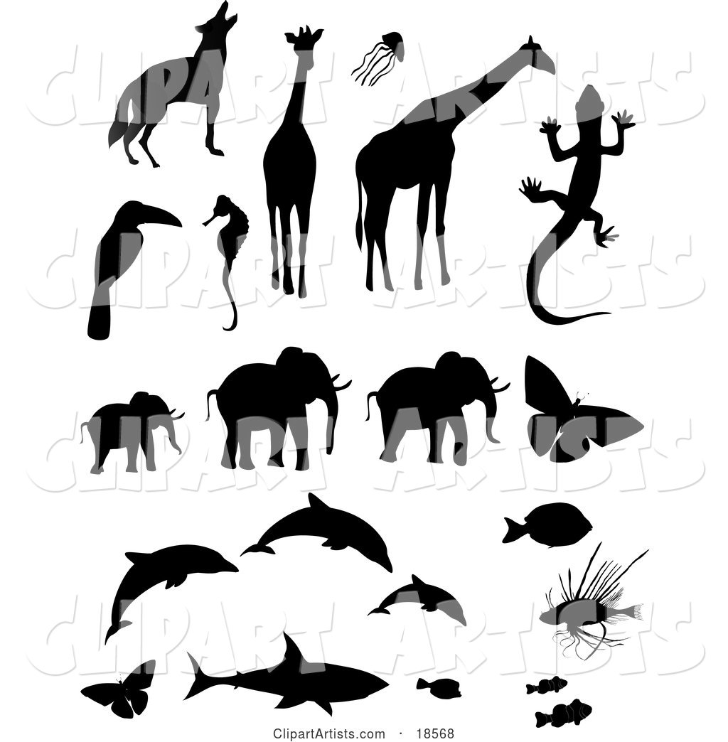 Collection of Animal Silhouettes Including a Wolf or Coyote, Giraffes, Jellyfish, Toucan, Seahorse, Gecko, Elephants, Butterflies, Dolphins, Triggerfish, Lionfish, a Shark and Clownfishes