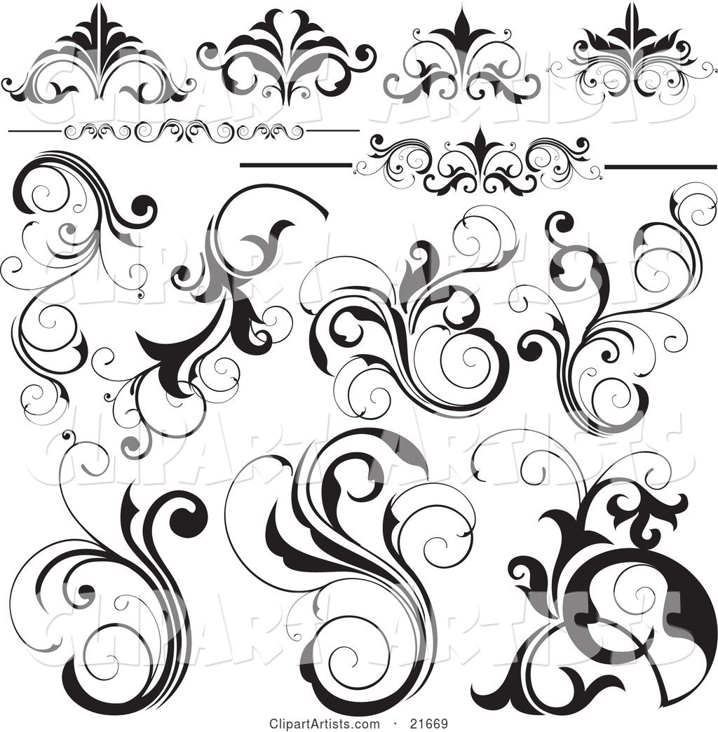 Collection of Black and White Flourishes, Flowers and Vines, over White