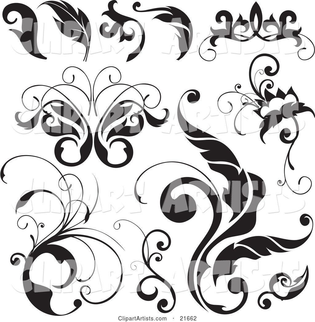 Collection of Black and White Leaves, Flourishes, and Butterflies over White