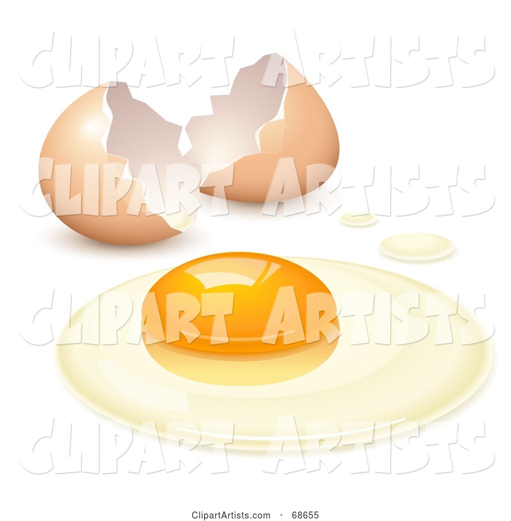 Cracked Open Egg with the Yolk and the White on a Surface
