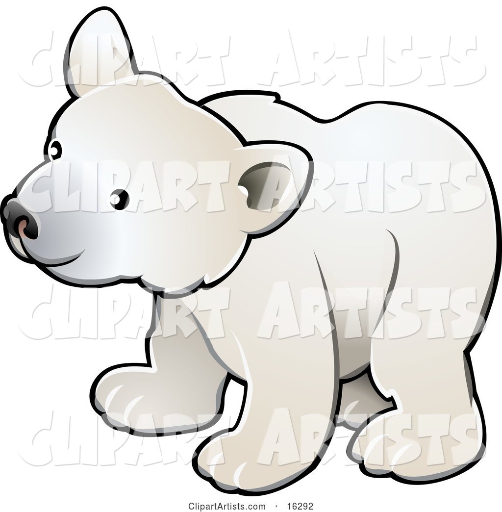Curious White Arctic Polar Bear Cub (Ursus Maritimus)